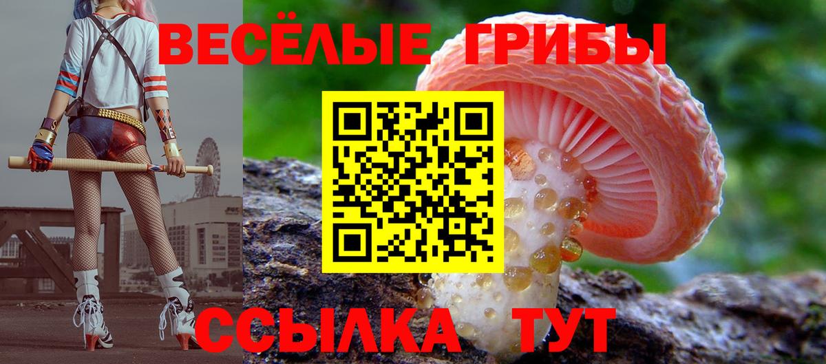Псилоцибиновые грибы мухоморы Мурино